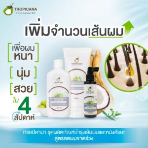8Tropicwfana