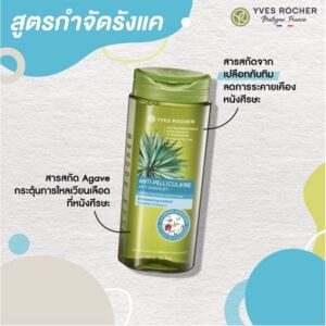 6Yvefts