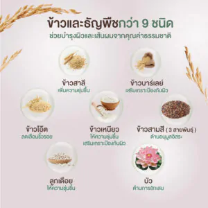 3Khaokkho